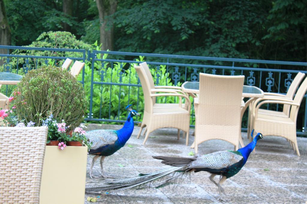 Akzent Hotel Hoxberg Beckum Buitenkant foto
